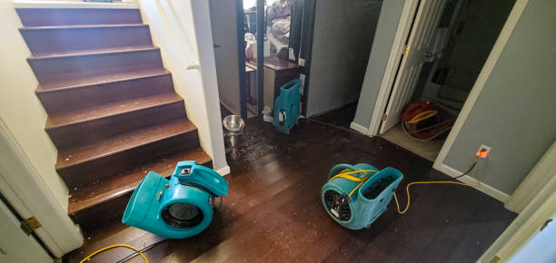 Best Flooded house restoration  in Clarion, PA