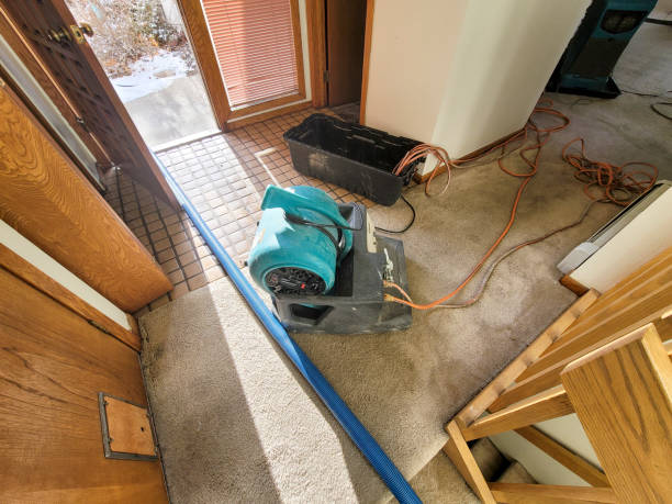 Best 24-hour water damage restoration  in Clarion, PA
