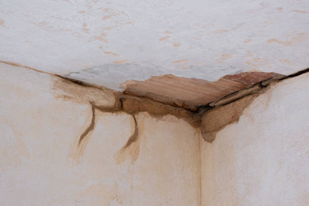 Best Flood damage cleanup  in Clarion, PA