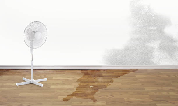 Best Residential water damage restoration  in Clarion, PA